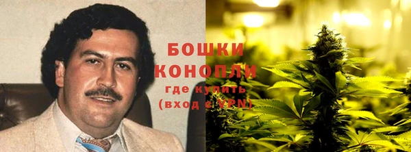 PSILOCYBIN Беслан